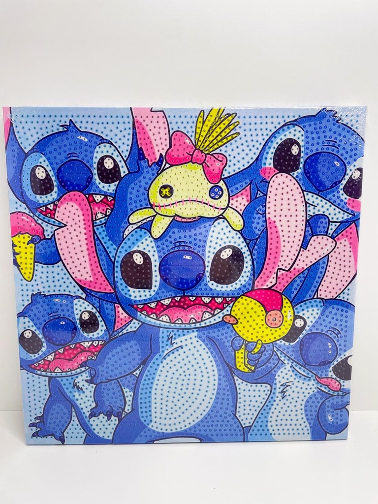 Cuadro diamond strass stitch 30x30